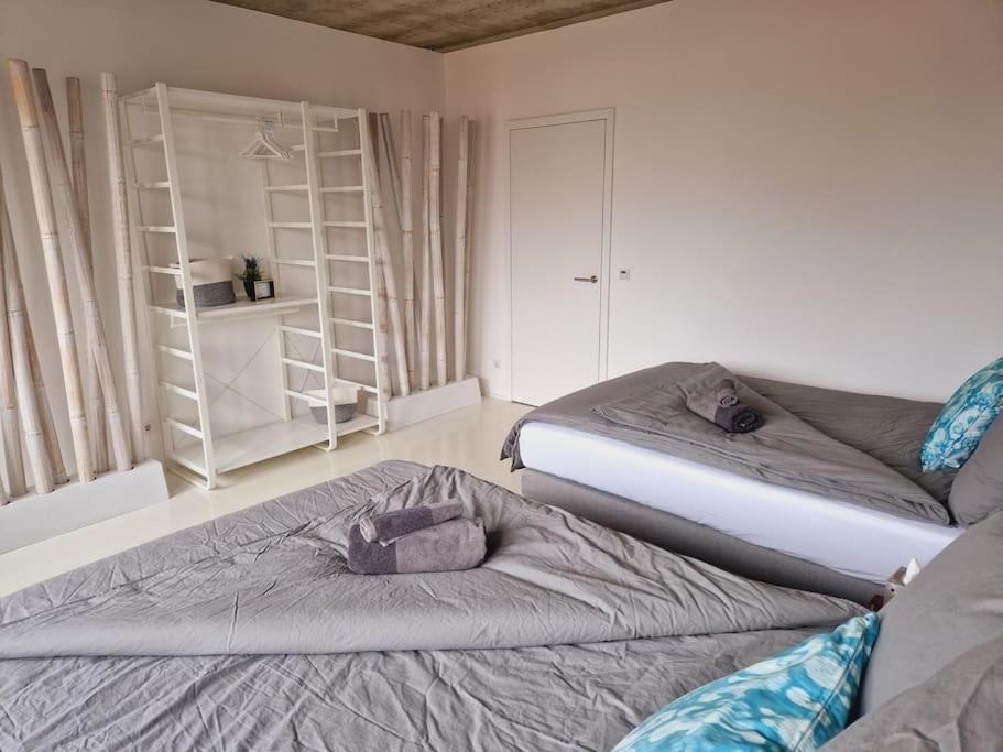 Exklusives Design-Penthouse Mc1 Appartement Seligenstadt Buitenkant foto